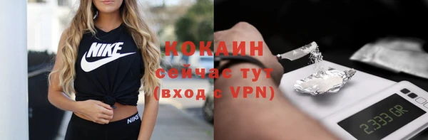 молекула духа Балахна