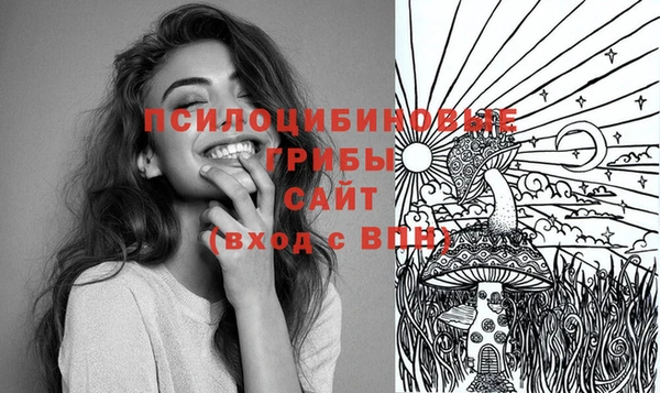 ПСИЛОЦИБИНОВЫЕ ГРИБЫ Балабаново