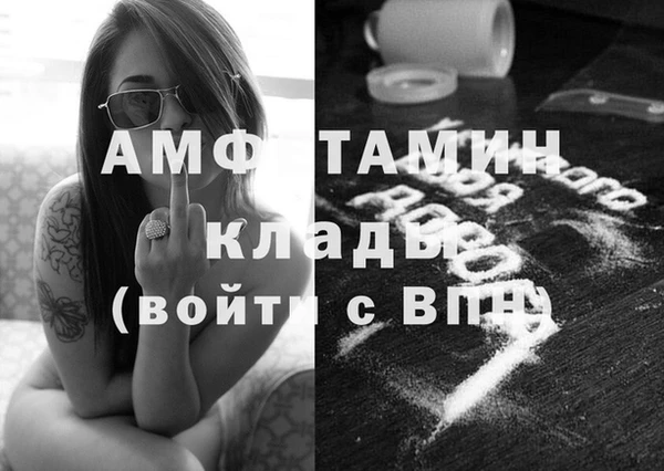 молекула духа Балахна