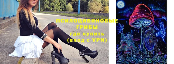 винт Баксан